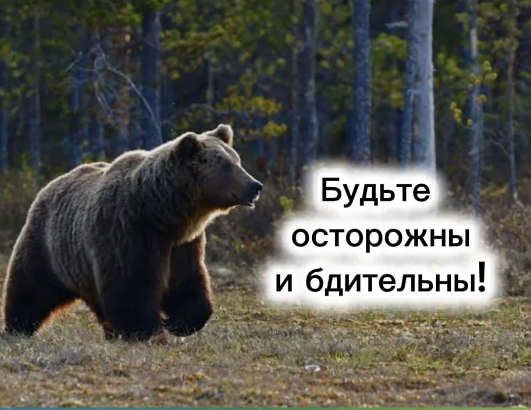 ❗Уважаемые жители и гости Усть-Коксинского района! ❗