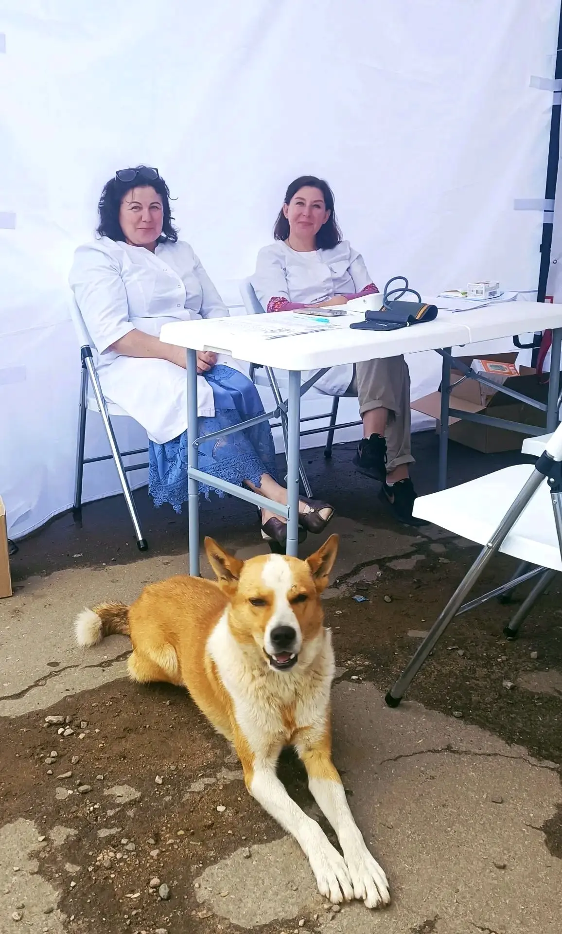 📸Теплый кадр со скрининга: врач, фельдшер и собака — то ли охраняет, то ли надеется, ч...