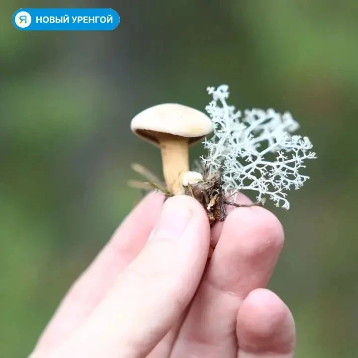 За окном — настоящая, глубокая осень