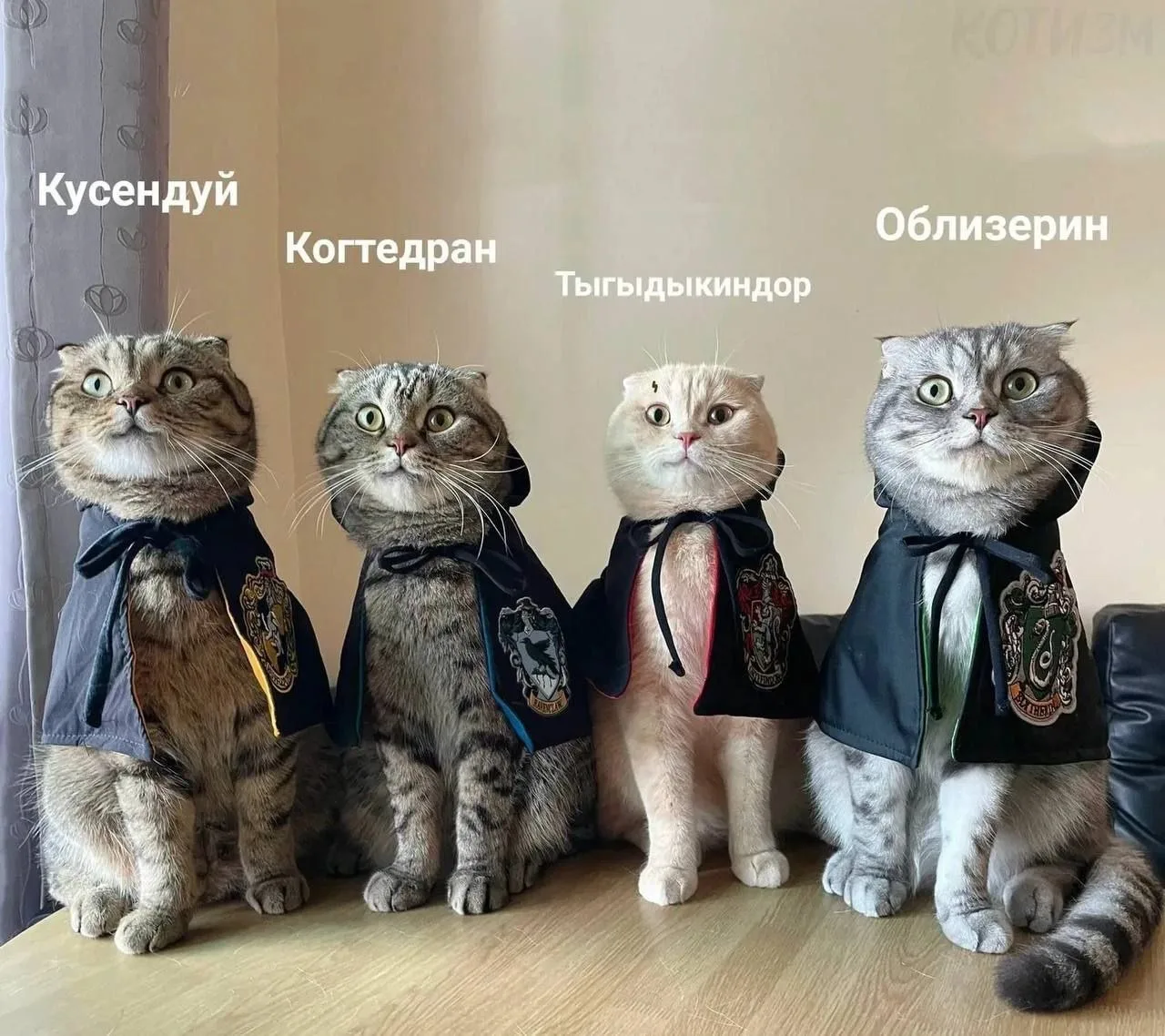 Сегодня отмечается Дeнь poждeния Гappи Пoттepa 🪄🧙‍♀️