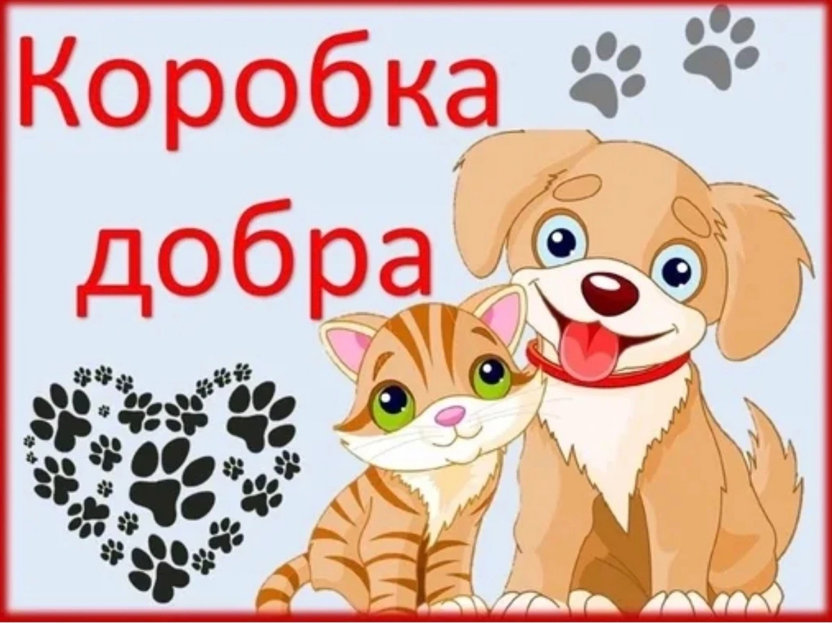 Давайте совершим маленькое чудо вместе! 🐾