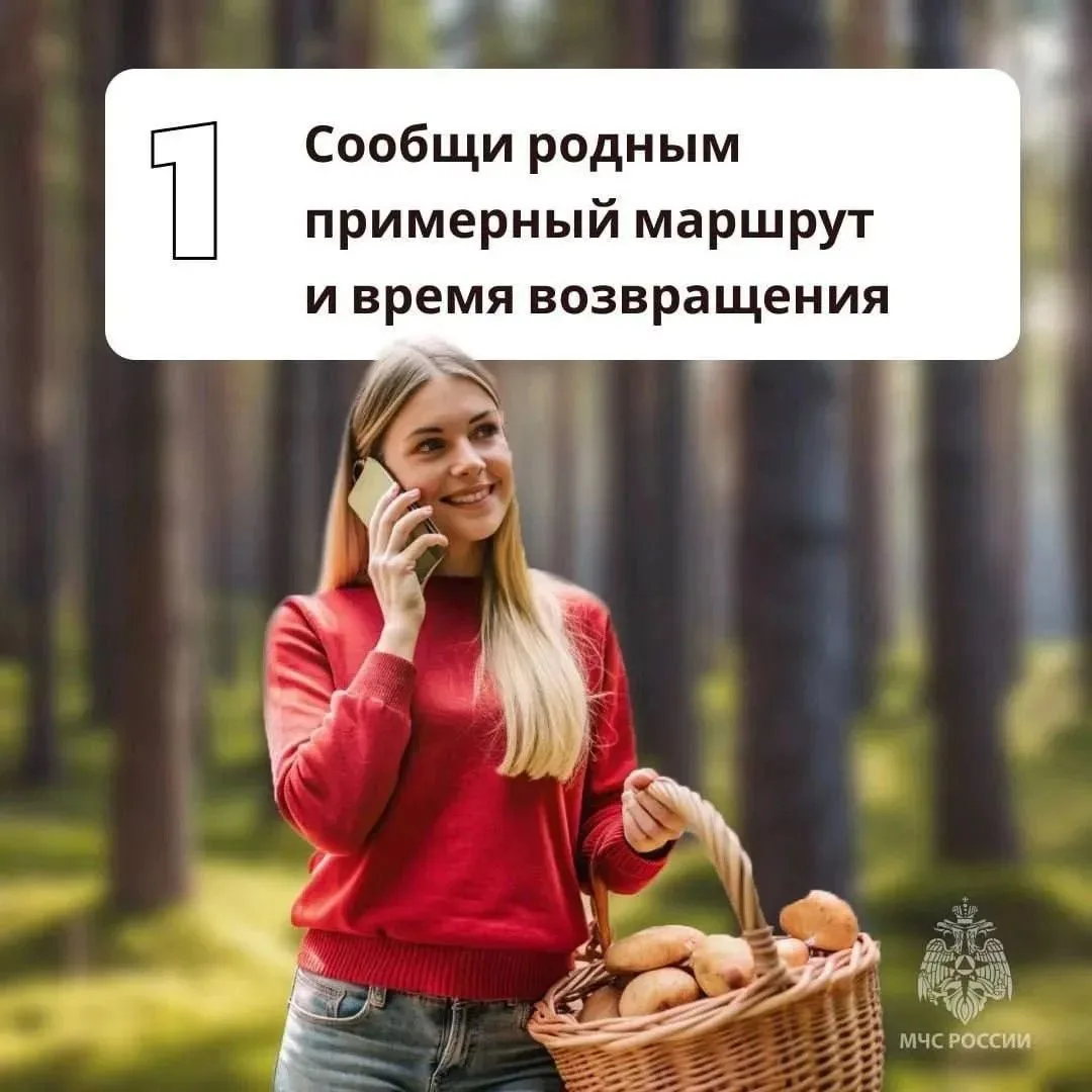 Грибы и ягоды без риска⚡