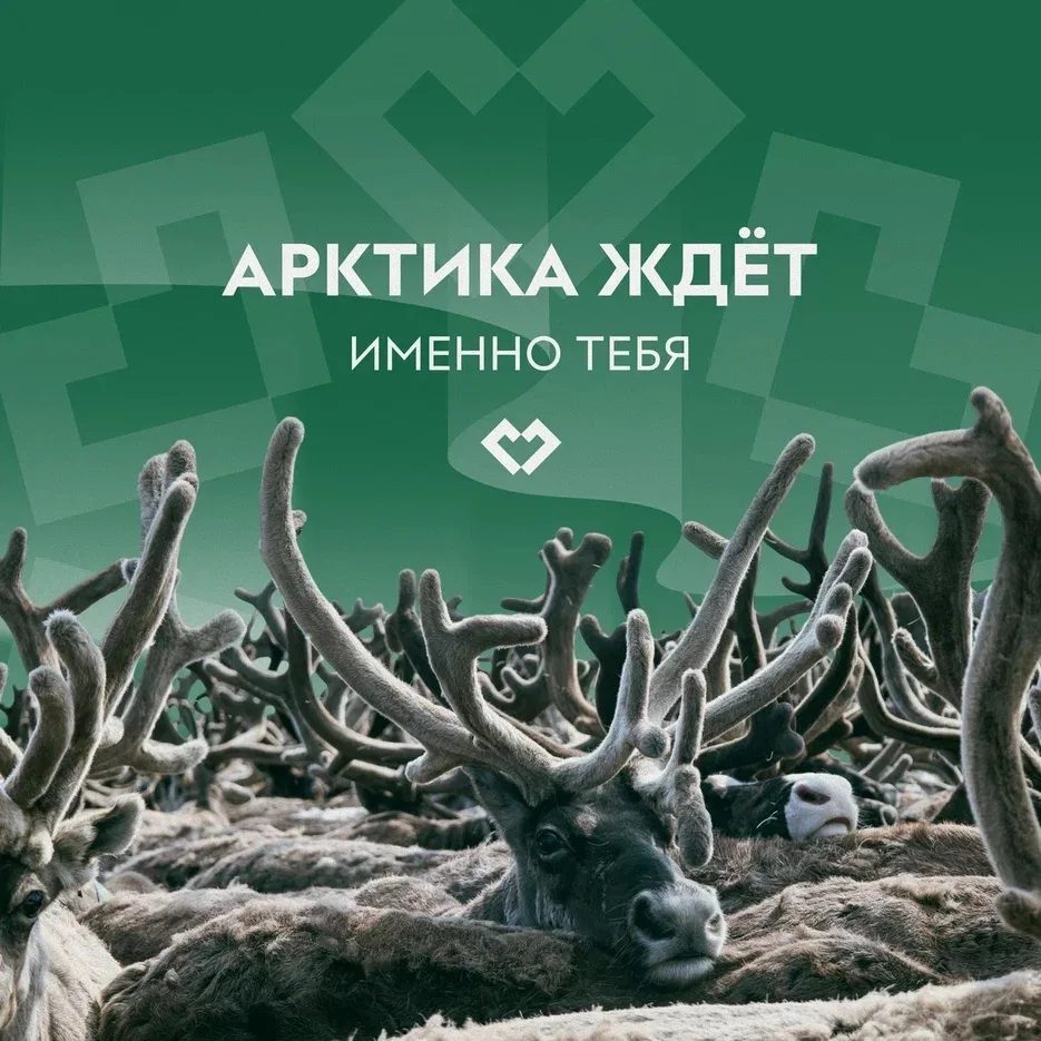 В НАО продолжается подготовка к Всероссийскому молодёжному экологическому форуму-фестивалю «Арктика.