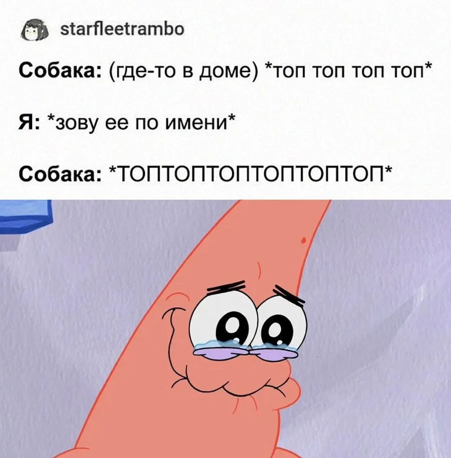 Старый добрый мем