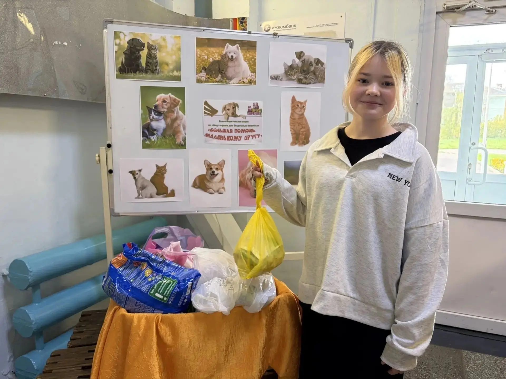 🐾 «Добрые руки»: наша школа помогла приюту для животных
