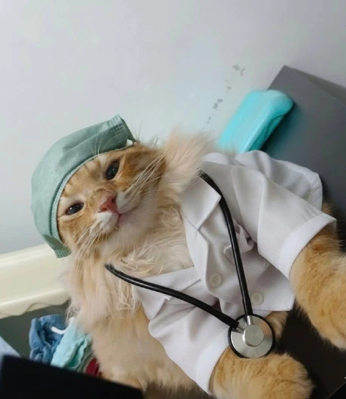 👨‍⚕️Что изменится с 1 сентября для врачей, клиник и пациентов: