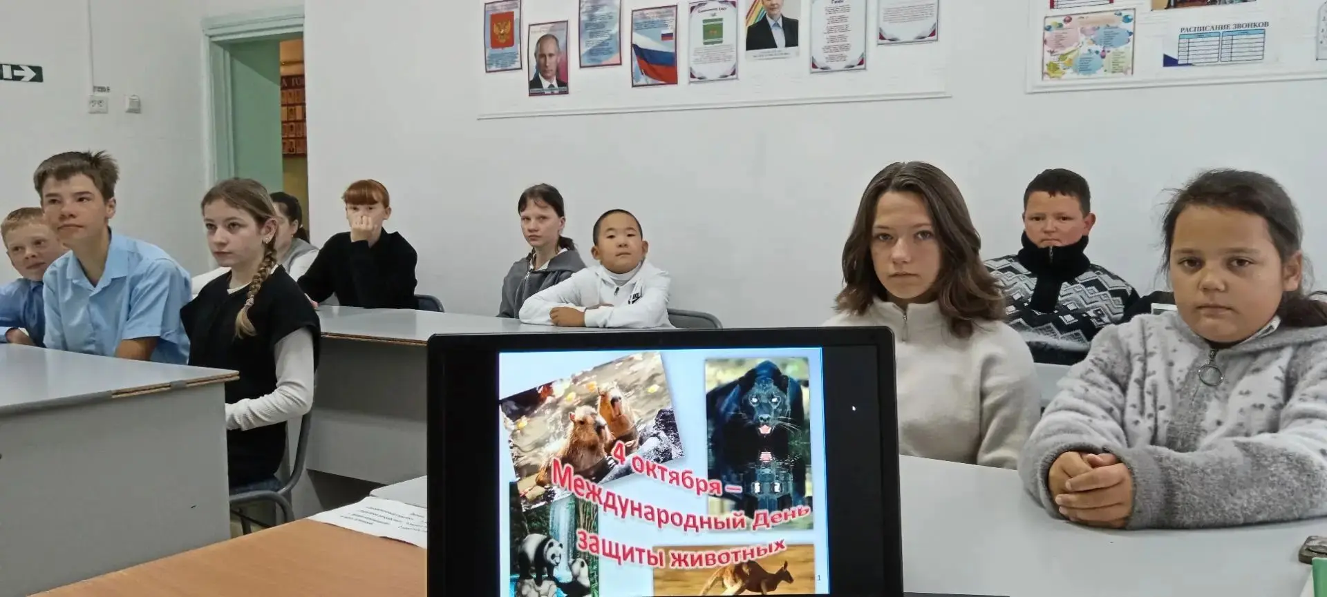 🌎 4 октября во всём мире отмечается Международный день защиты животных. Этот праздник ...