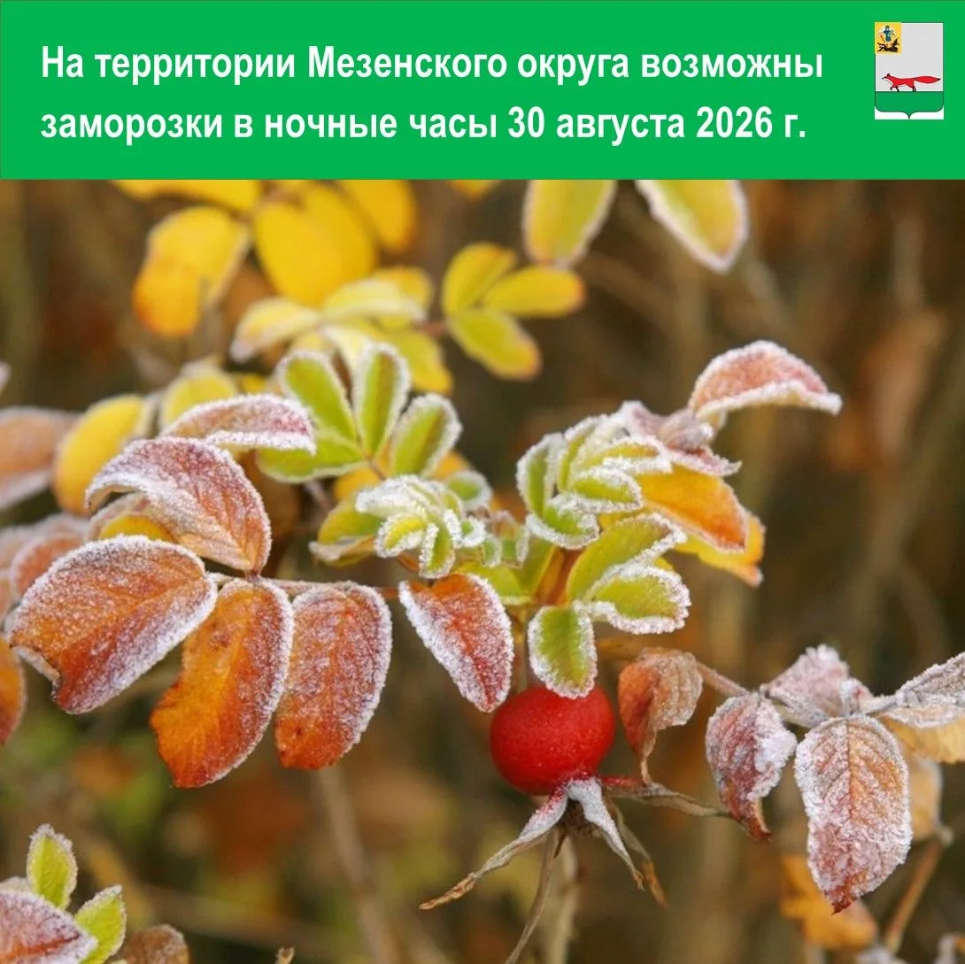 Уважаемые жители Мезенского округа!
