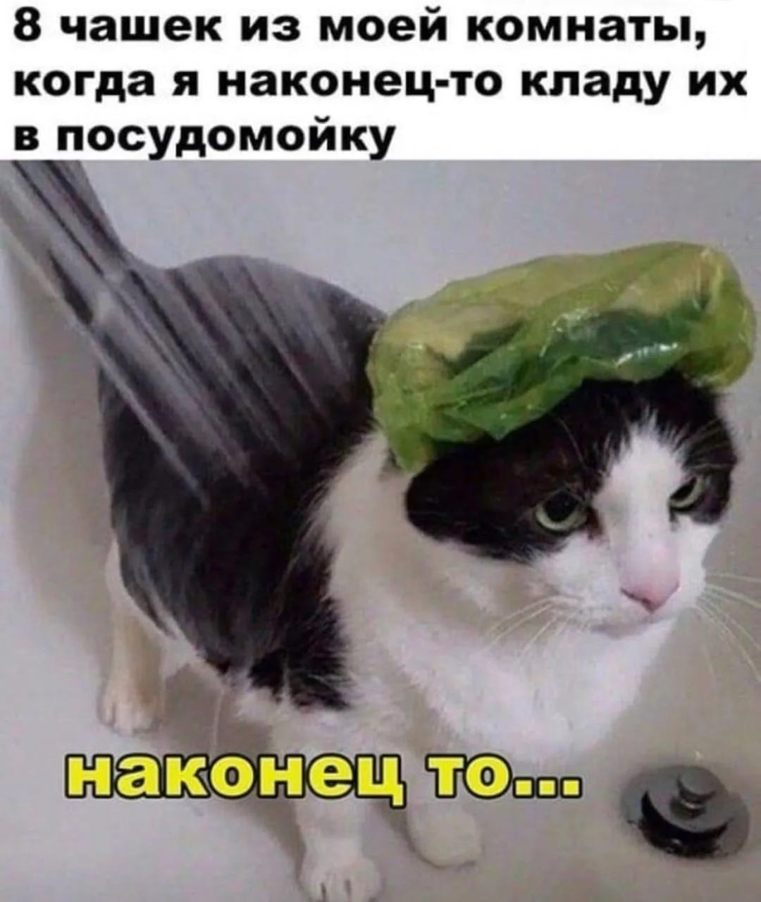 Мемы каждый день • Подписаться
