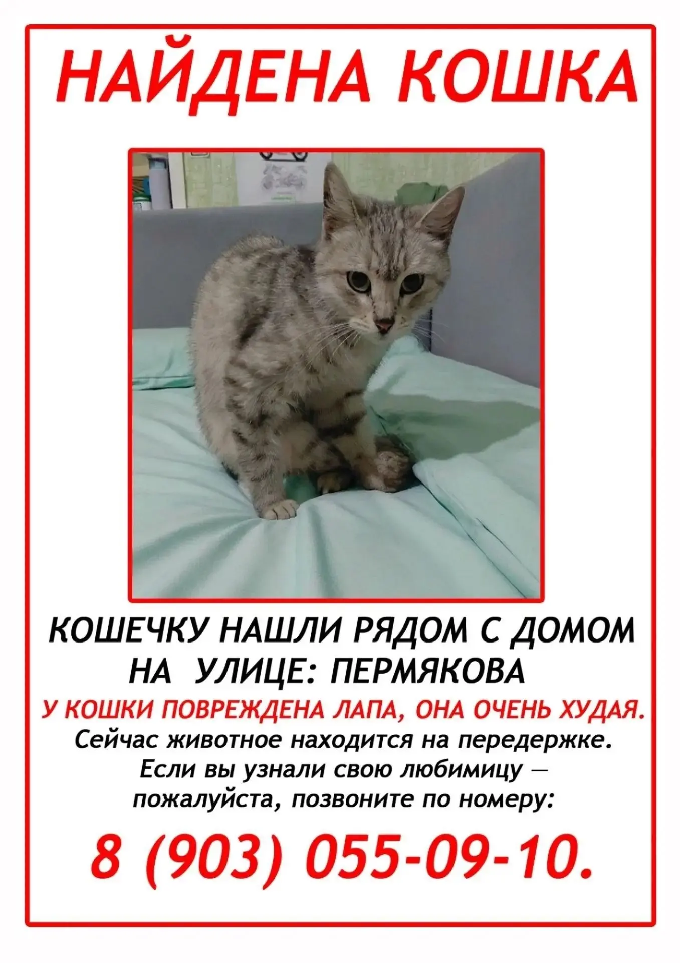 Алёна Дубровская