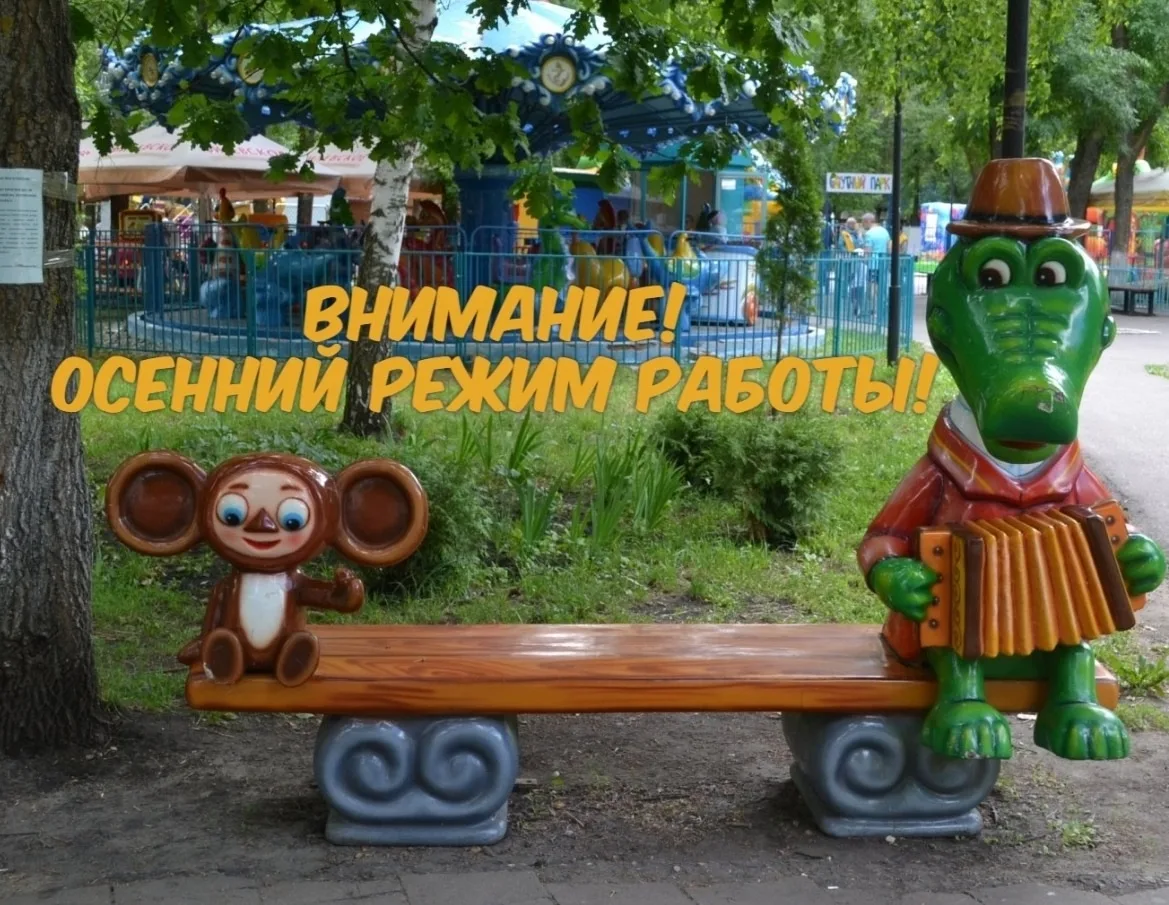 Дорогие друзья!