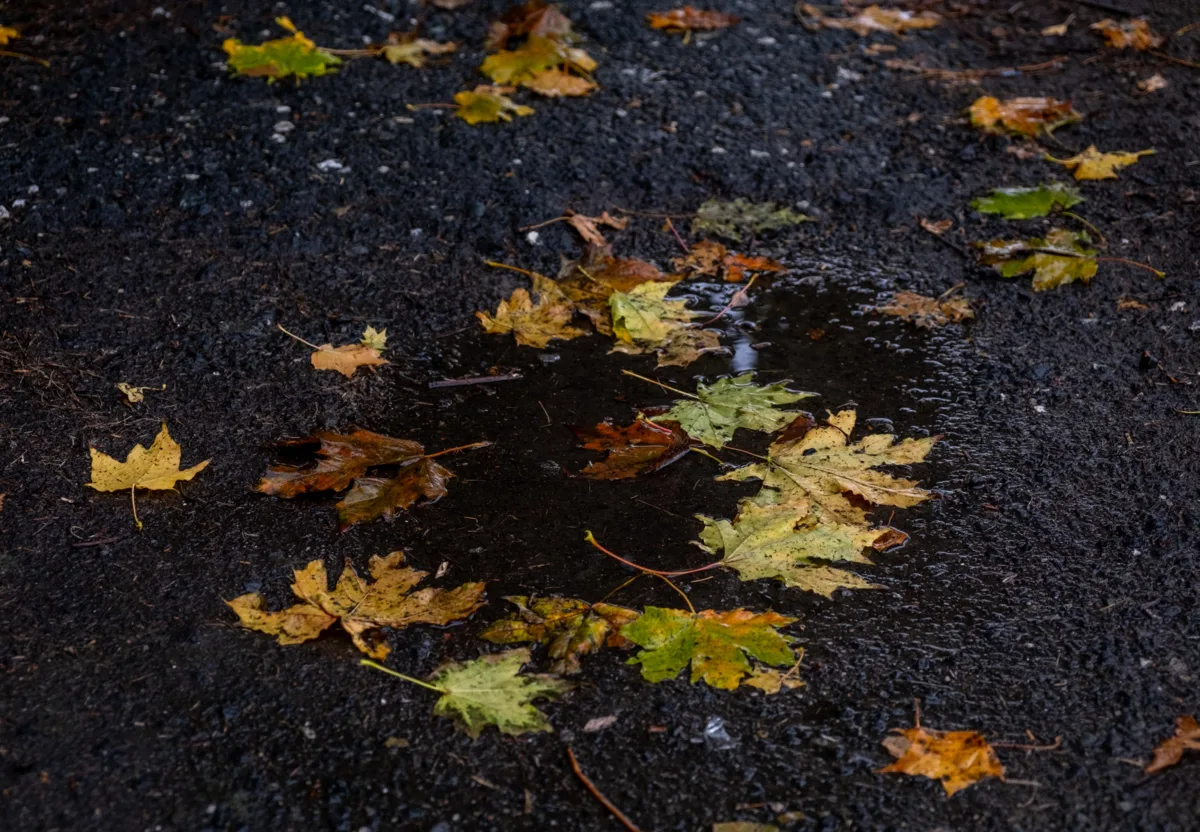 💧 Маленькое озеро
