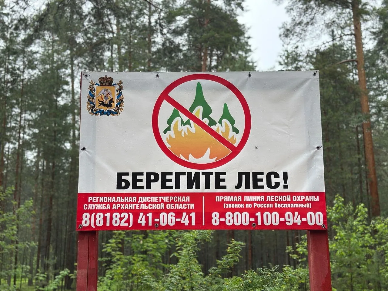 ❗️🌲В лесах Архангельской области действует особый противопожарный режим

Он установлен с 11 по 17 и
