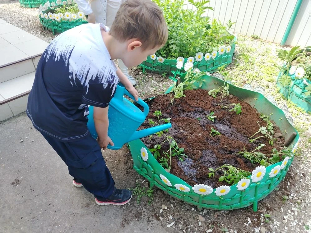 🌱 На грядку — с любовью!