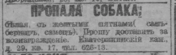 Пропала собака, белая, с желтыми пятнами (сан-бернар, самец). Прошу доставить за вознаграждение. Ека