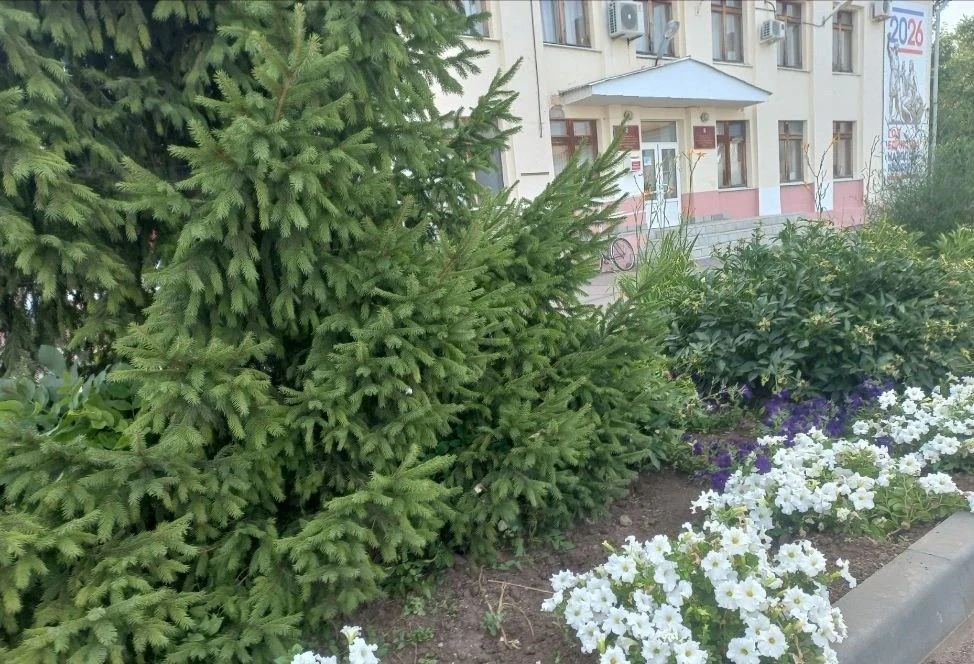 Доброе утро, уважаемые подписчики! 🌞