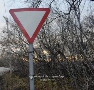 На днях размещали пост от подписчика: девушка писала о том, что когда машины едут  по у...