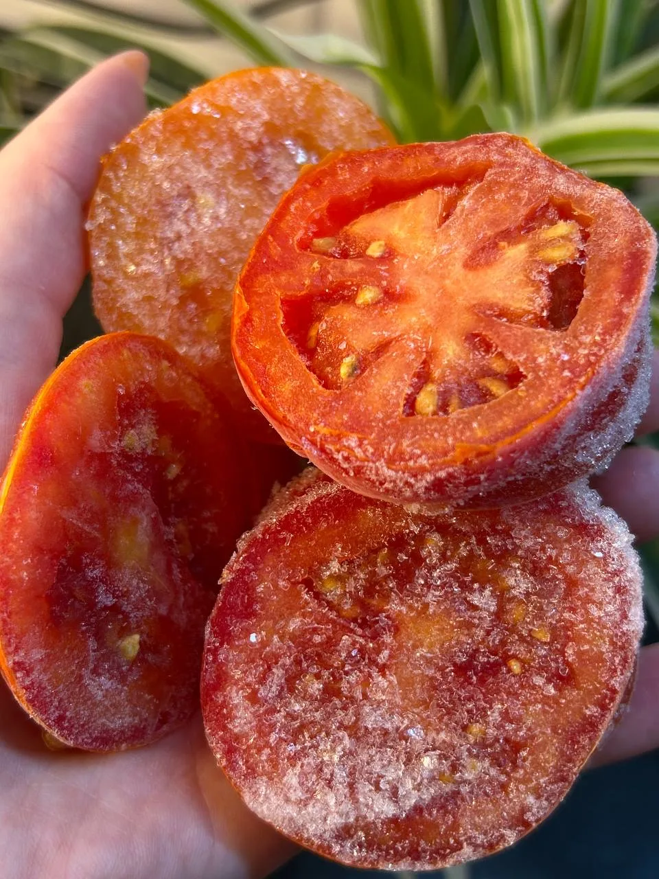 СОЛЯНКА МЯСНАЯ СБОРНАЯ🔥  Это один из моих любимых супов, поэтому спешу поделиться с вами рецептом!  