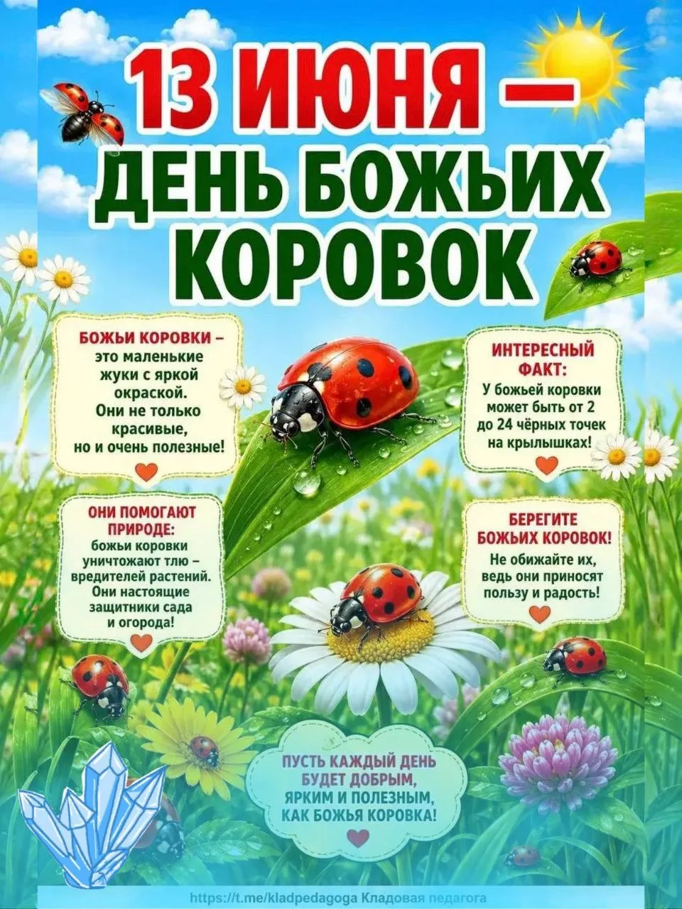 💎 Возможно, вы и не знали, что у этих милых насекомых есть собственный праздник, но он существует и