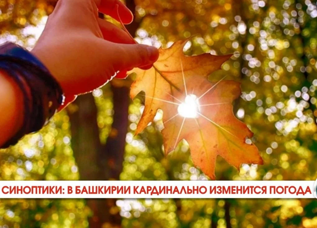 📢 Без осадков и до +16 градусов: в Башкирии кардинально изменится погода.