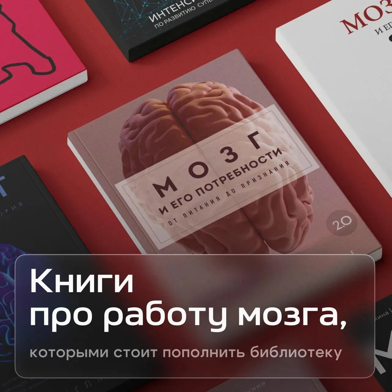 Что почитать, чтобы лучше понять свой мозг