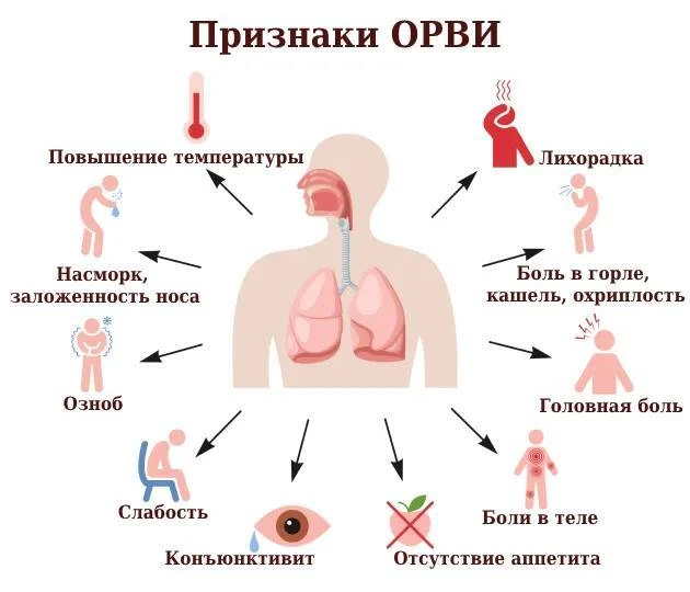 🏙 Сезон ОРВИ начался