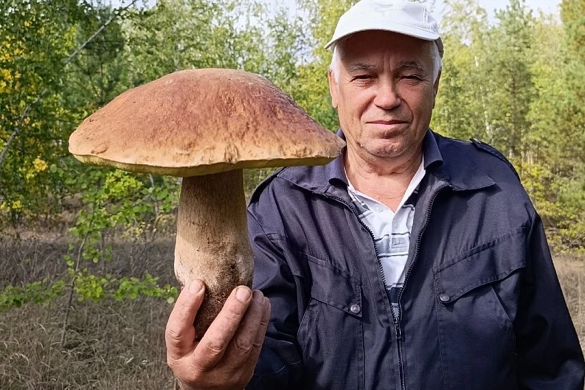 Под Старым Осколом нашли боровик весом 1,4 килограмма 🍄