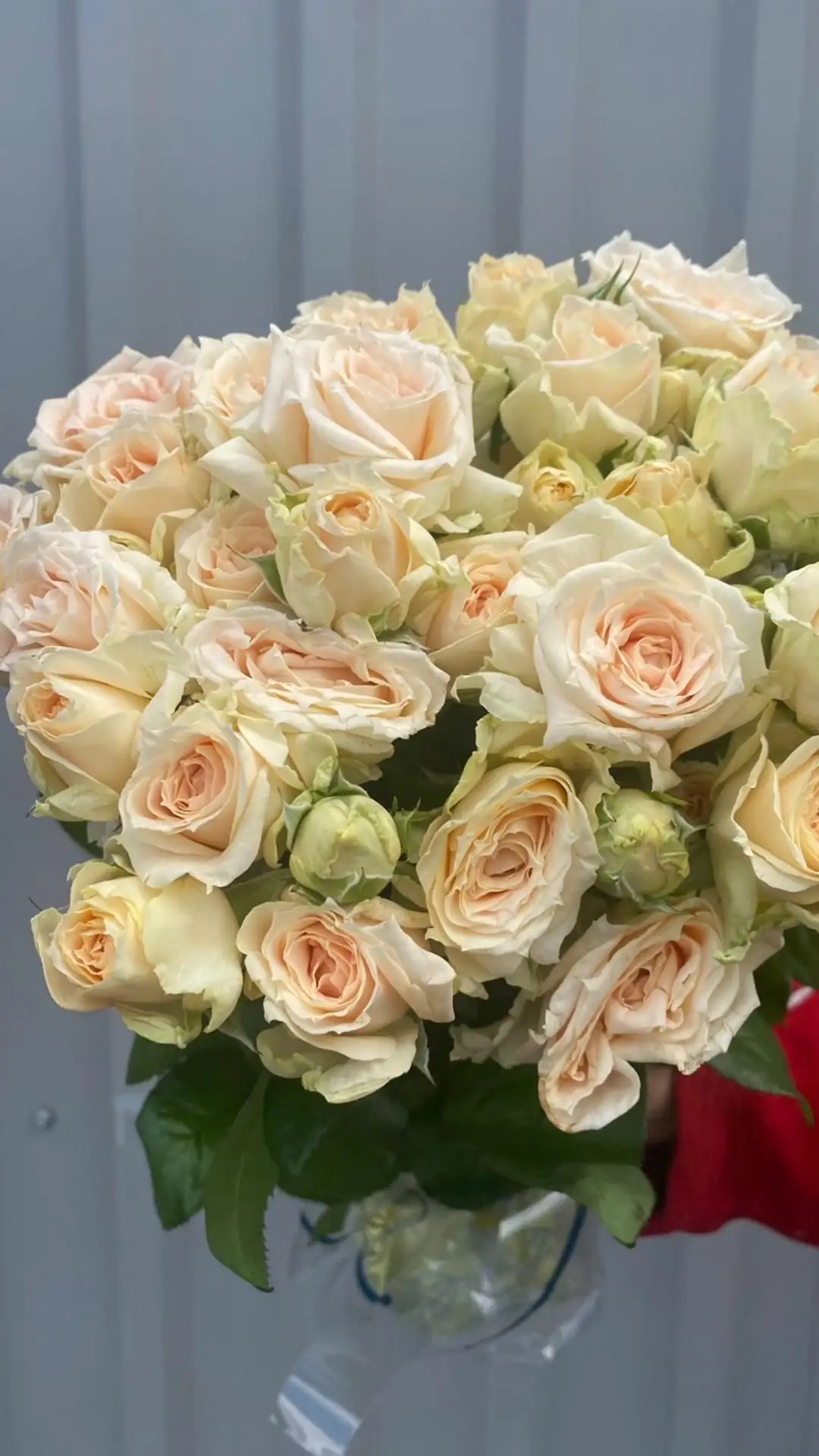 🌸 Свежее поступление