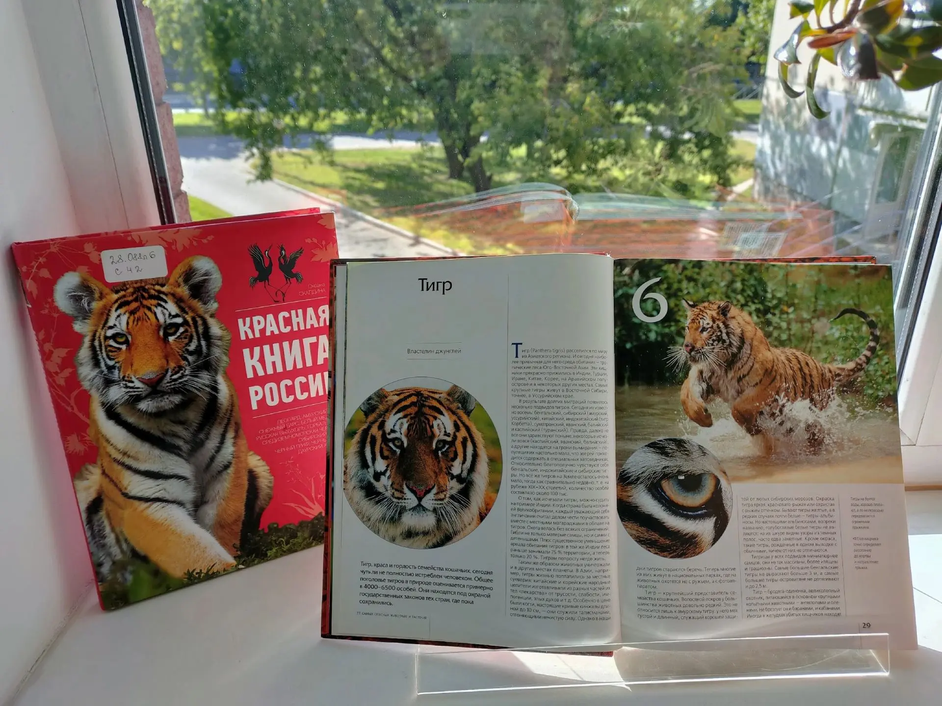 ⚡ Сегодня ребята из лагеря ЦСРИДИ "Поддержка" стали участниками экологического часа, посвященного Ме