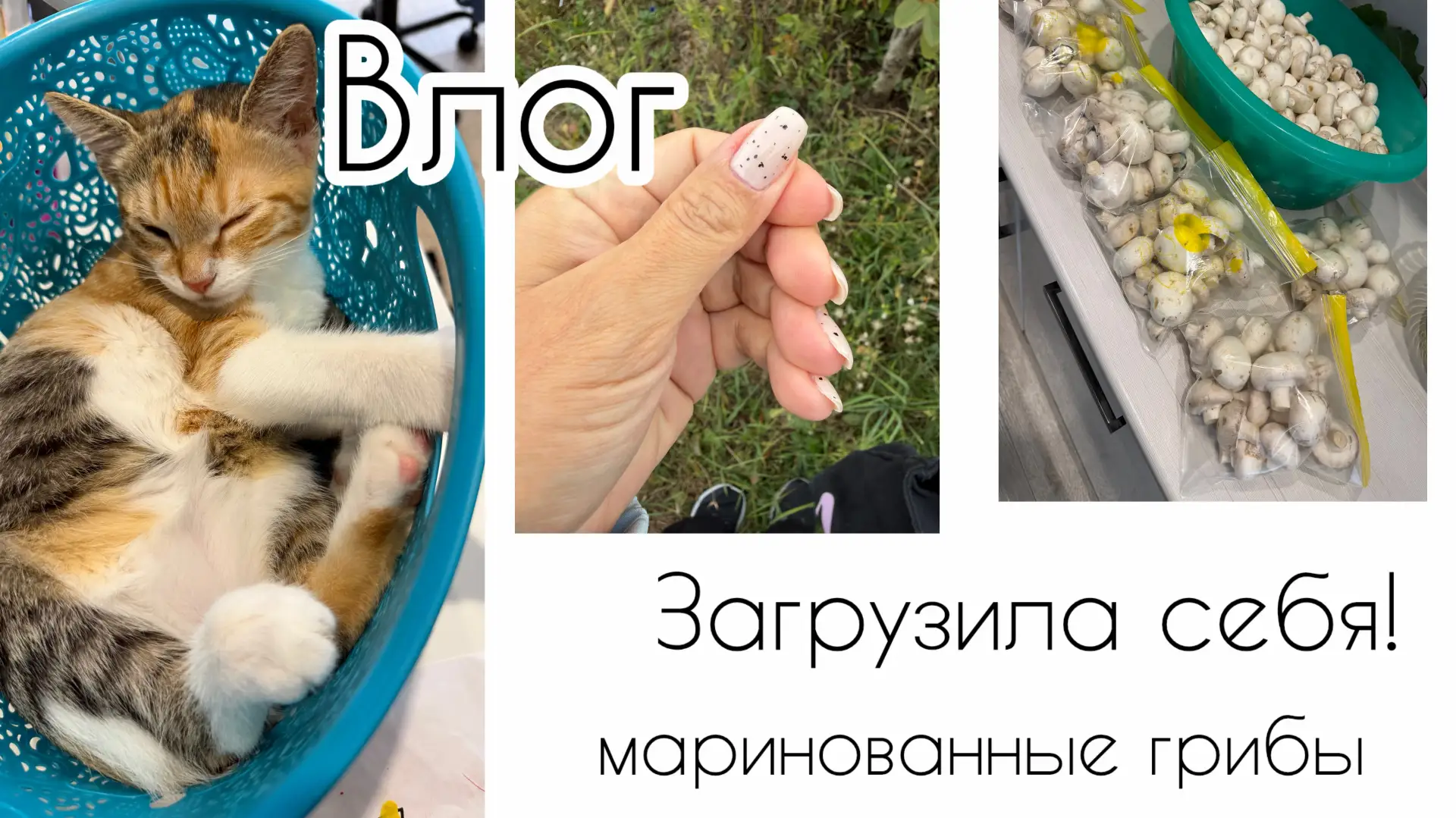 Новый влог на Дзен
