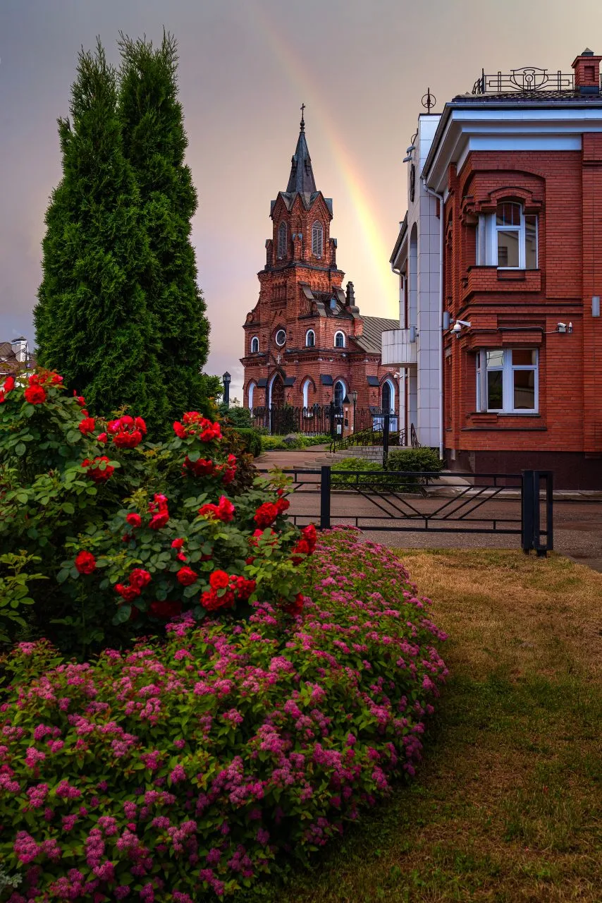 Утиное семейство переходит проезжую часть на Ерофеевском спуске 😍