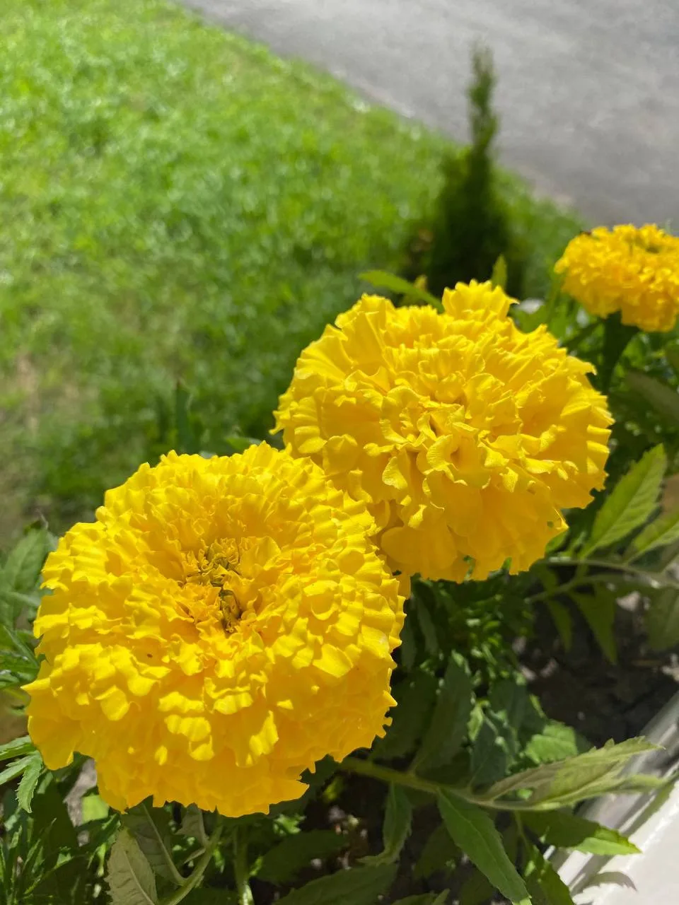 Доброе утро, Буинск!☀️
Хәерле иртә, Буа!🌼
Сегодня среда, 17 июня 
За окном 21°C 

Отличного дня и м