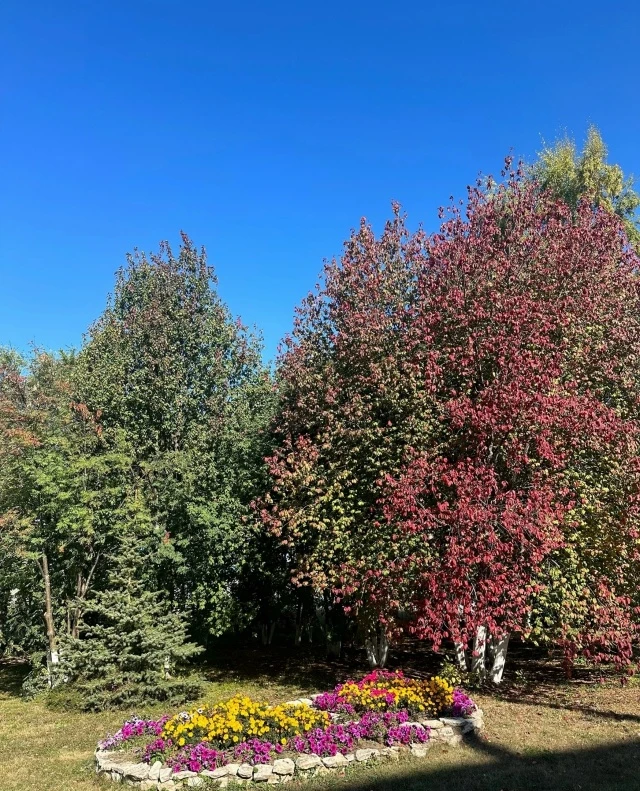 🌂🍂Сентябрьның һәр иртәсен иминлек белән, яхшы кәефтә каршы алыйк, райондашлар!