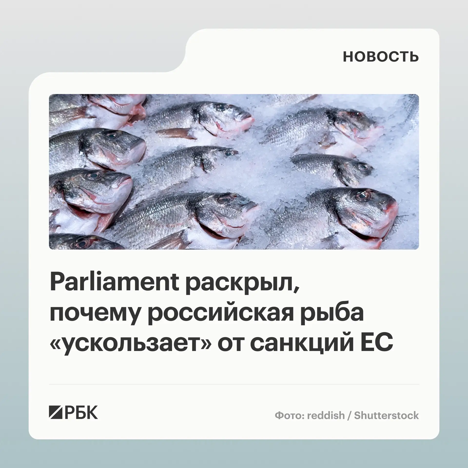 Несмотря на жесткие ограничения против российской экономики, планы Евросоюза по запрету...