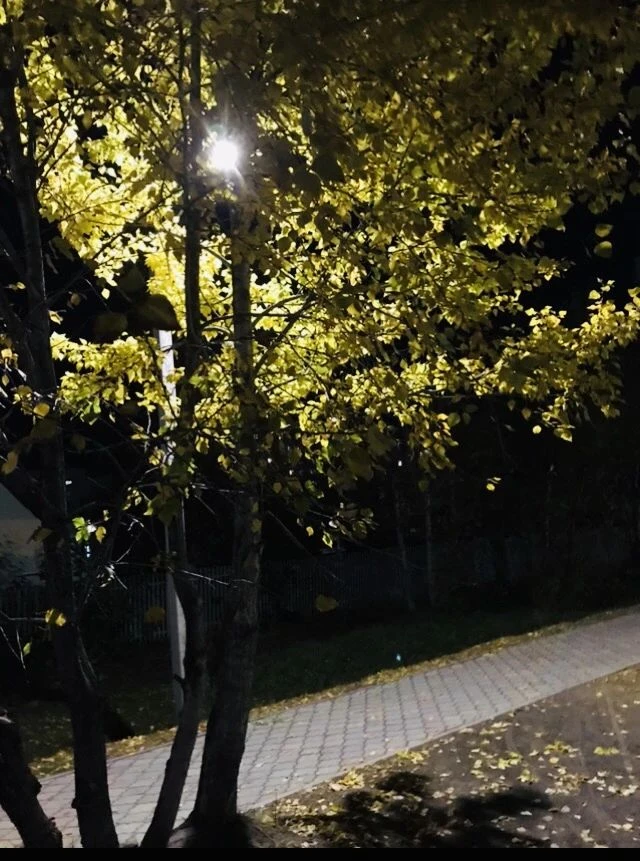🍁🍂✨Осенний Кодинск солнечным днём - яркий и оживлённый. А поздним вечером - таинствен...