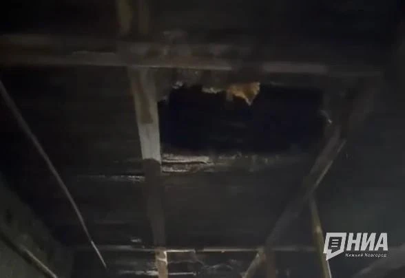 👀 Уцелевшую после крупного пожара конюшню в Стригине планируют снести из‑за угрозы обрушения крыши.