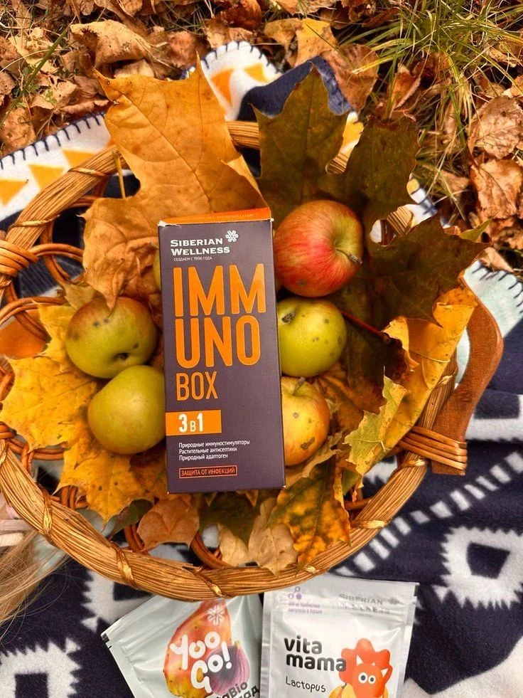 🌿 Immuno Box — комплексная защита организма в сезон простуд