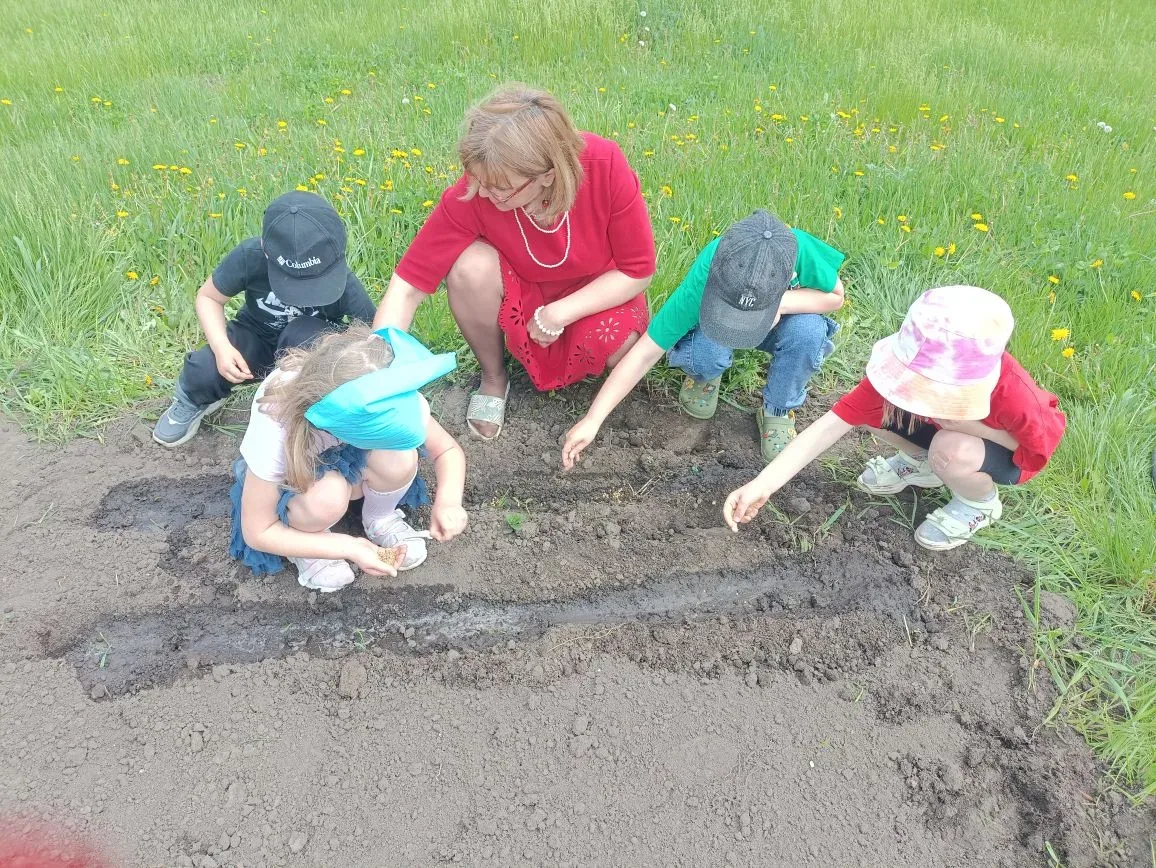 Мы сажаем огород.🥦🥕Посмотрите ,что растет!