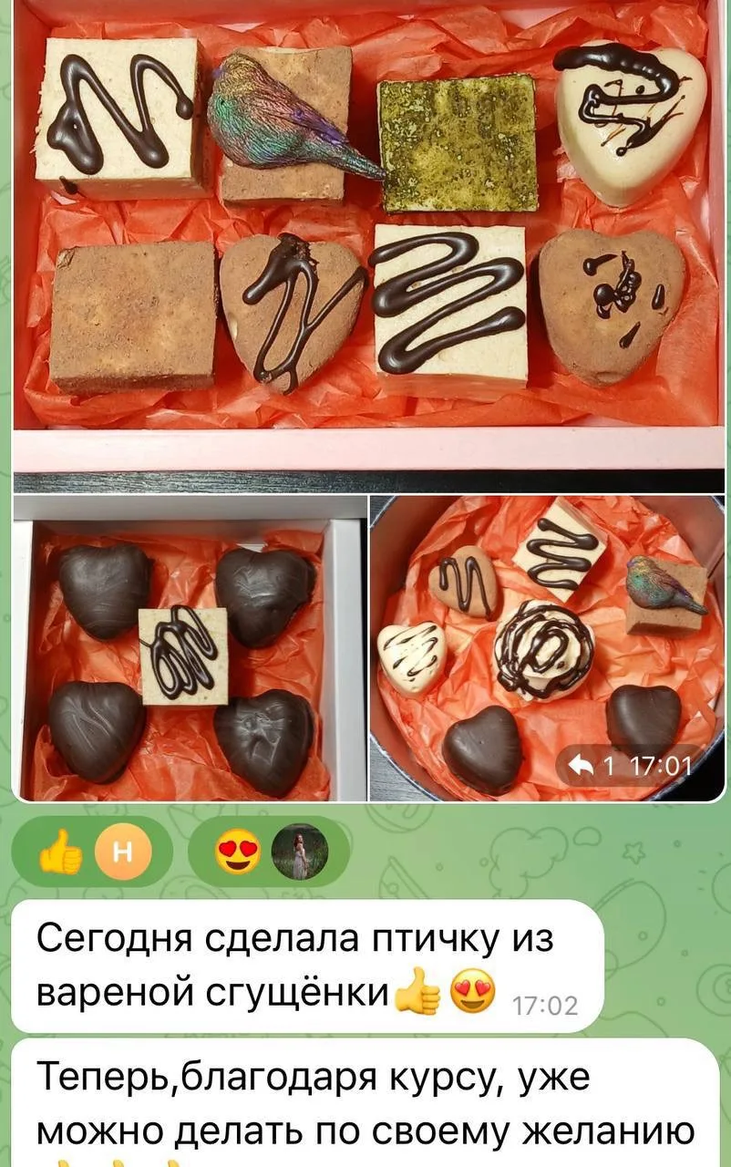Как взять от обучения по Птичке максимум?