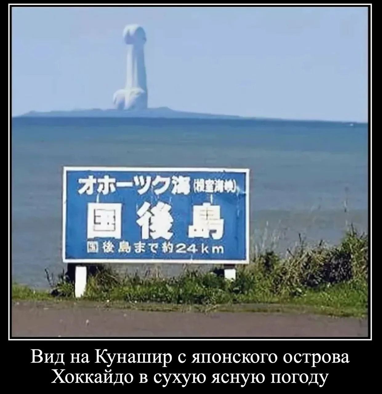 Изображение 1 к публикации «ZERGULIO»