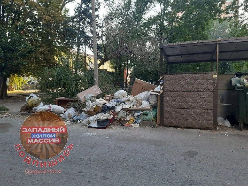 Вторую неделю не вывозится мусор с площадки по обе стороны на Коммунистическом, 12, жал...