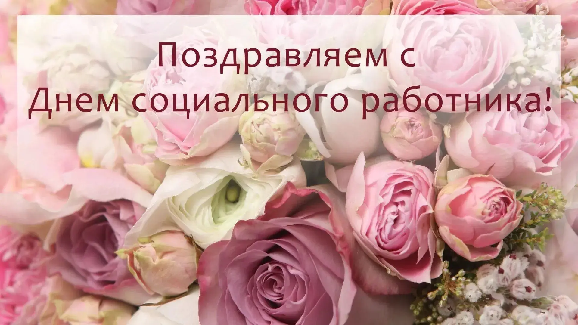🌷Уважаемые работники социальной сферы!