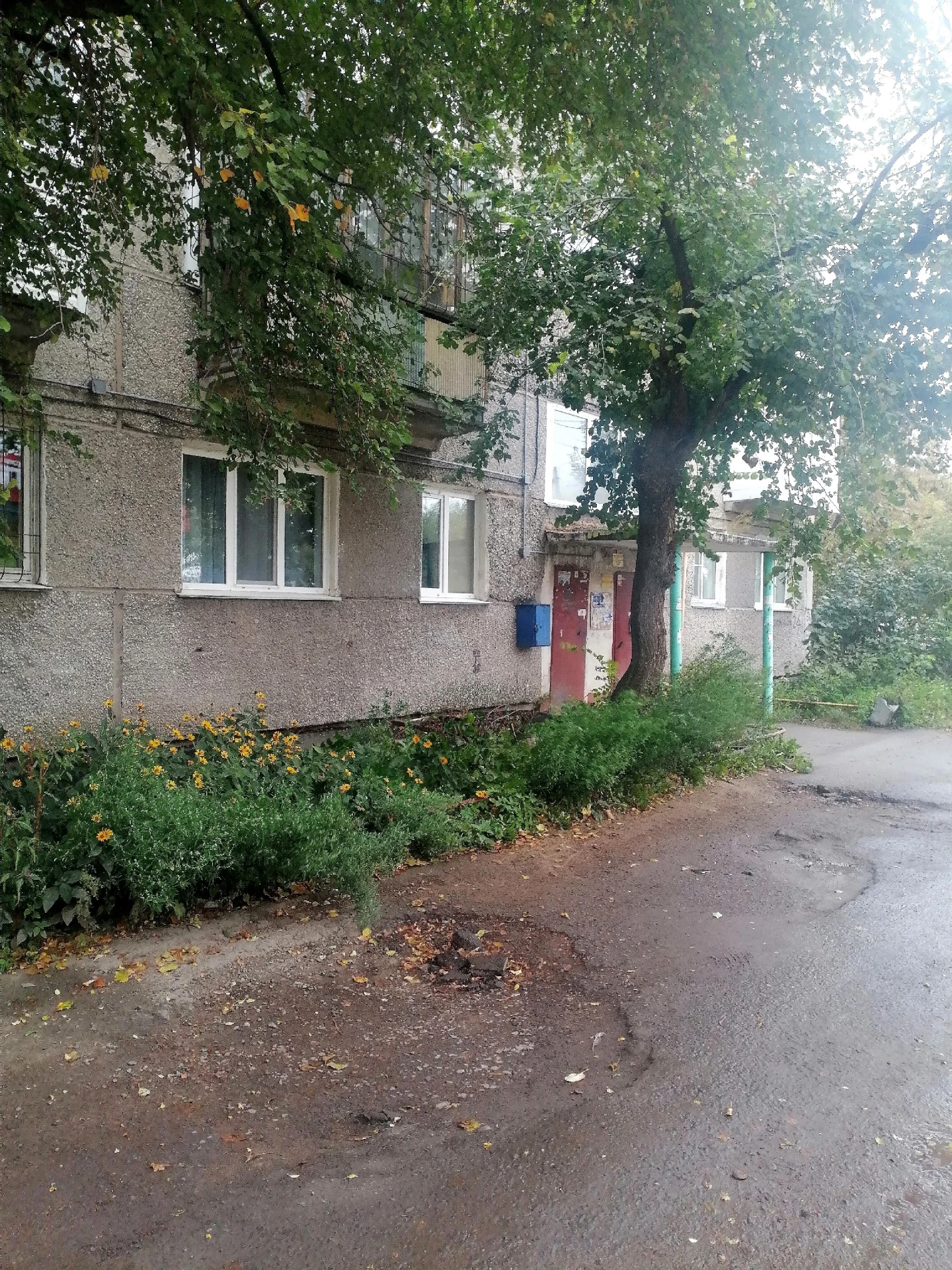 Добрый день! Хочу сообщить о разбитой дороге по адресу г. Омск, пос. Солнечный, улица 2...