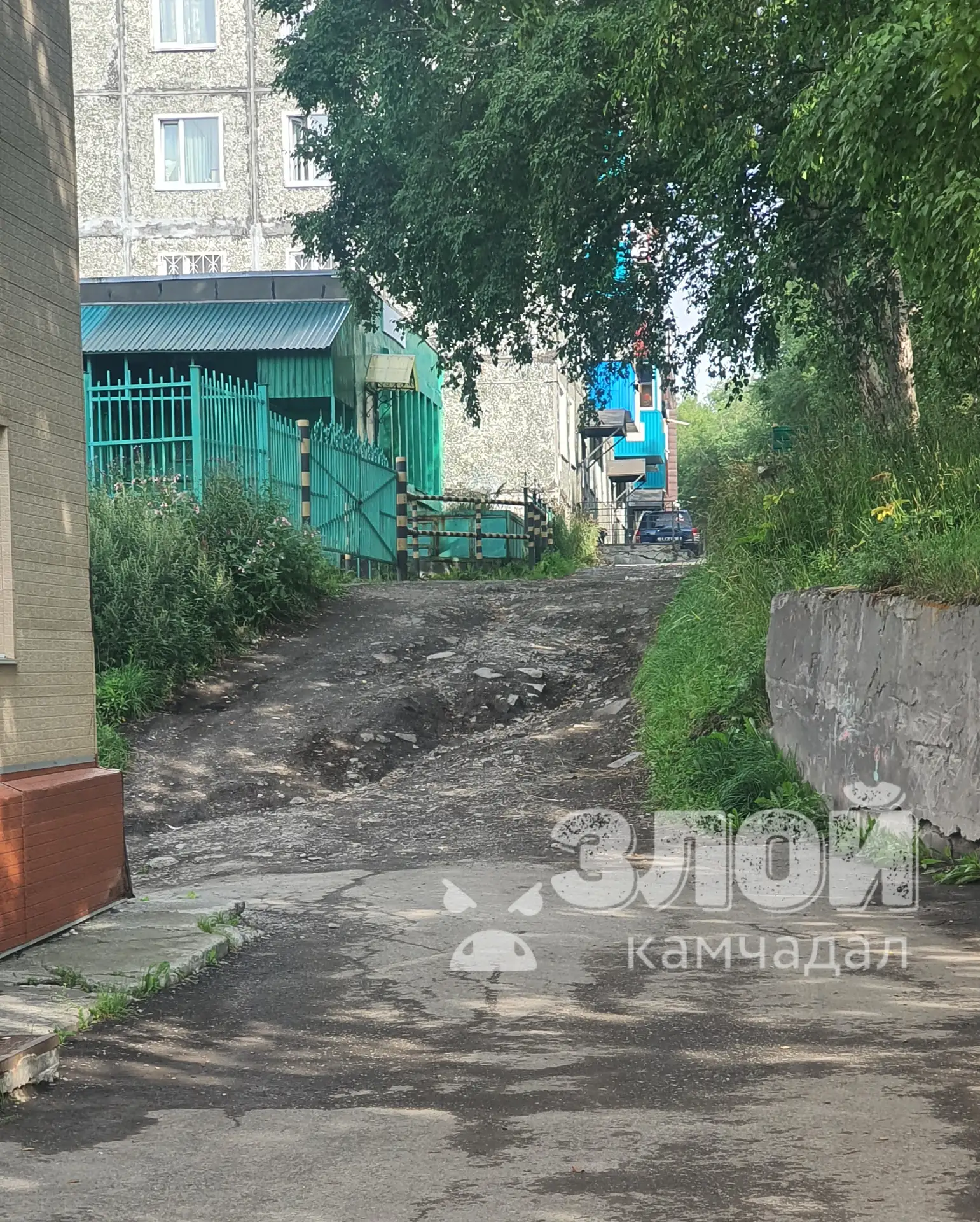 По нашим дорогам только на внедорожниках...
