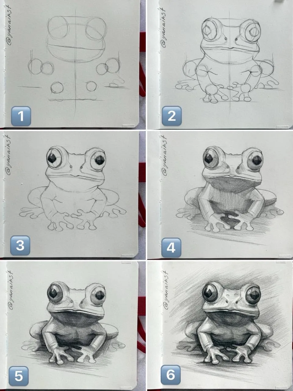 Рисуем лягушонка 🐸
