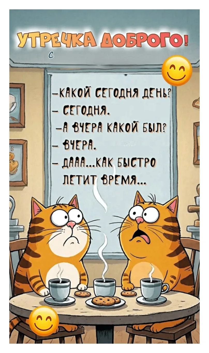 https://max.ru/channel_ch_60bc92b40f0994203ea1996a