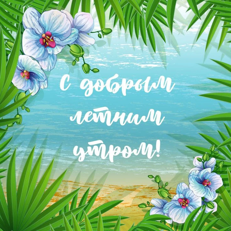 Список качественных каналов в МАХ | Подпишись!❤️