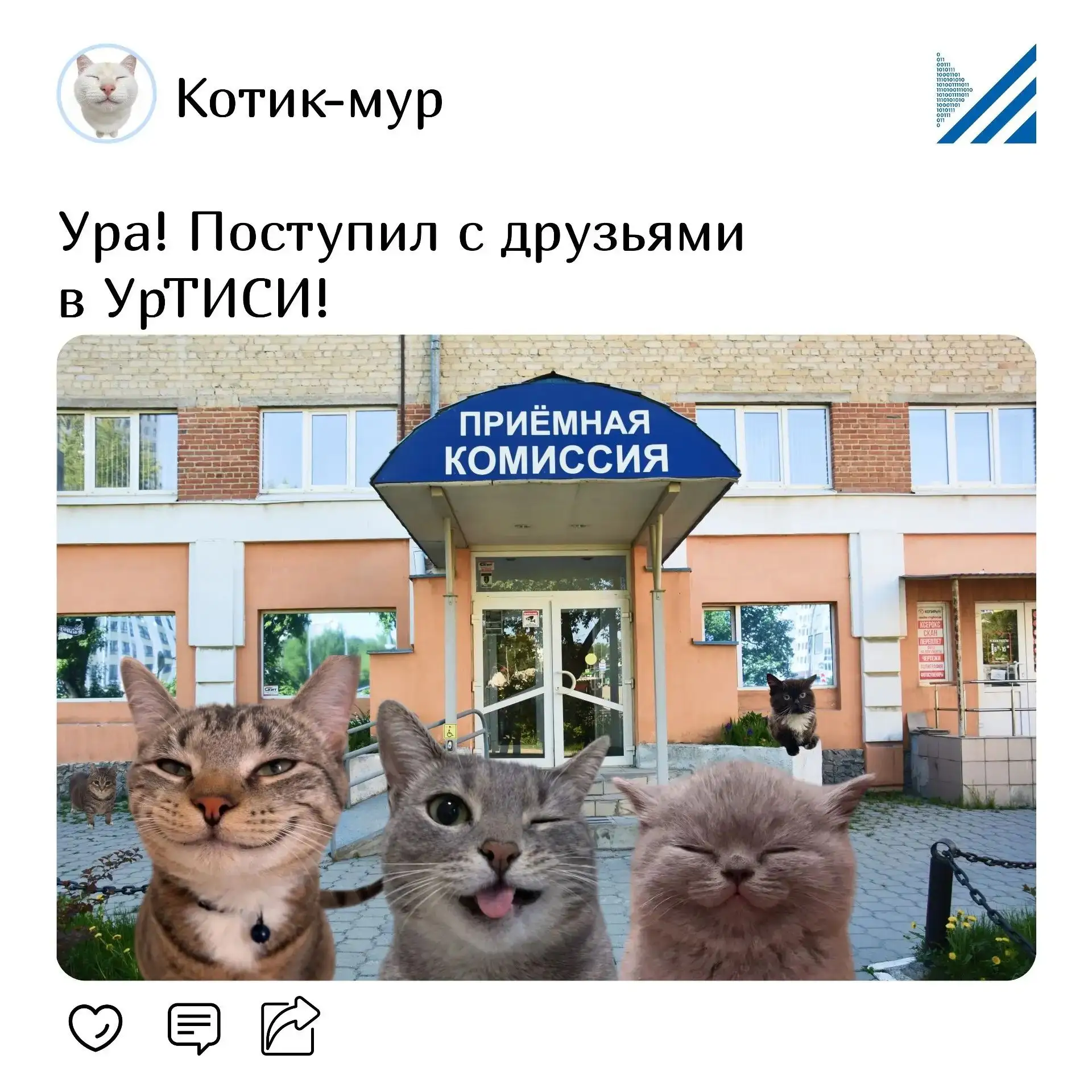 🌟 Абитуриенту – приказ на среднее профессиональное образование, бюджет