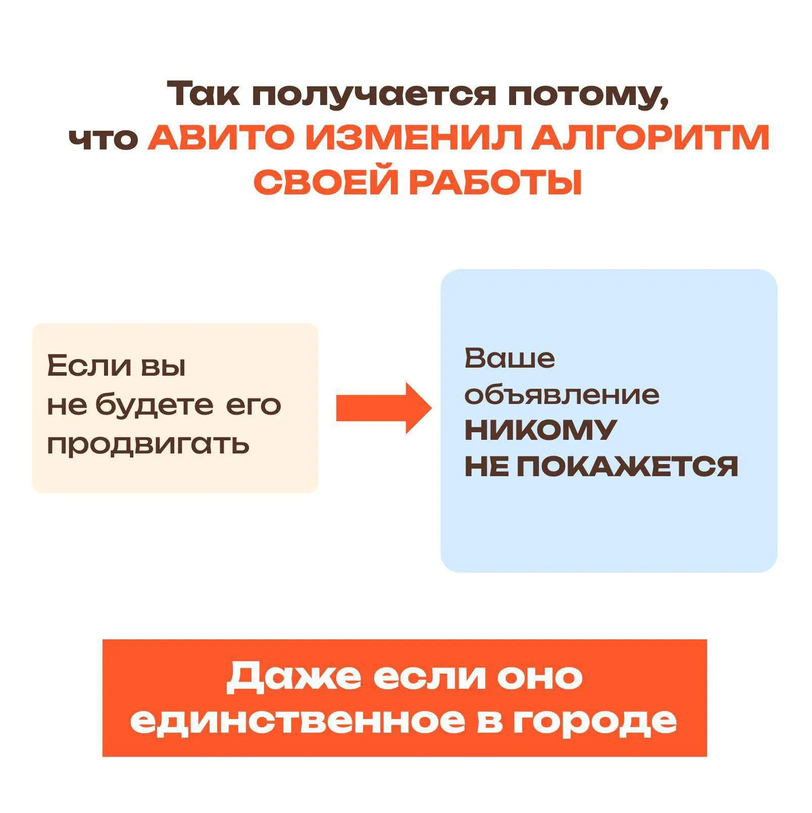 Профи и Авито снова поменяли правила игры?