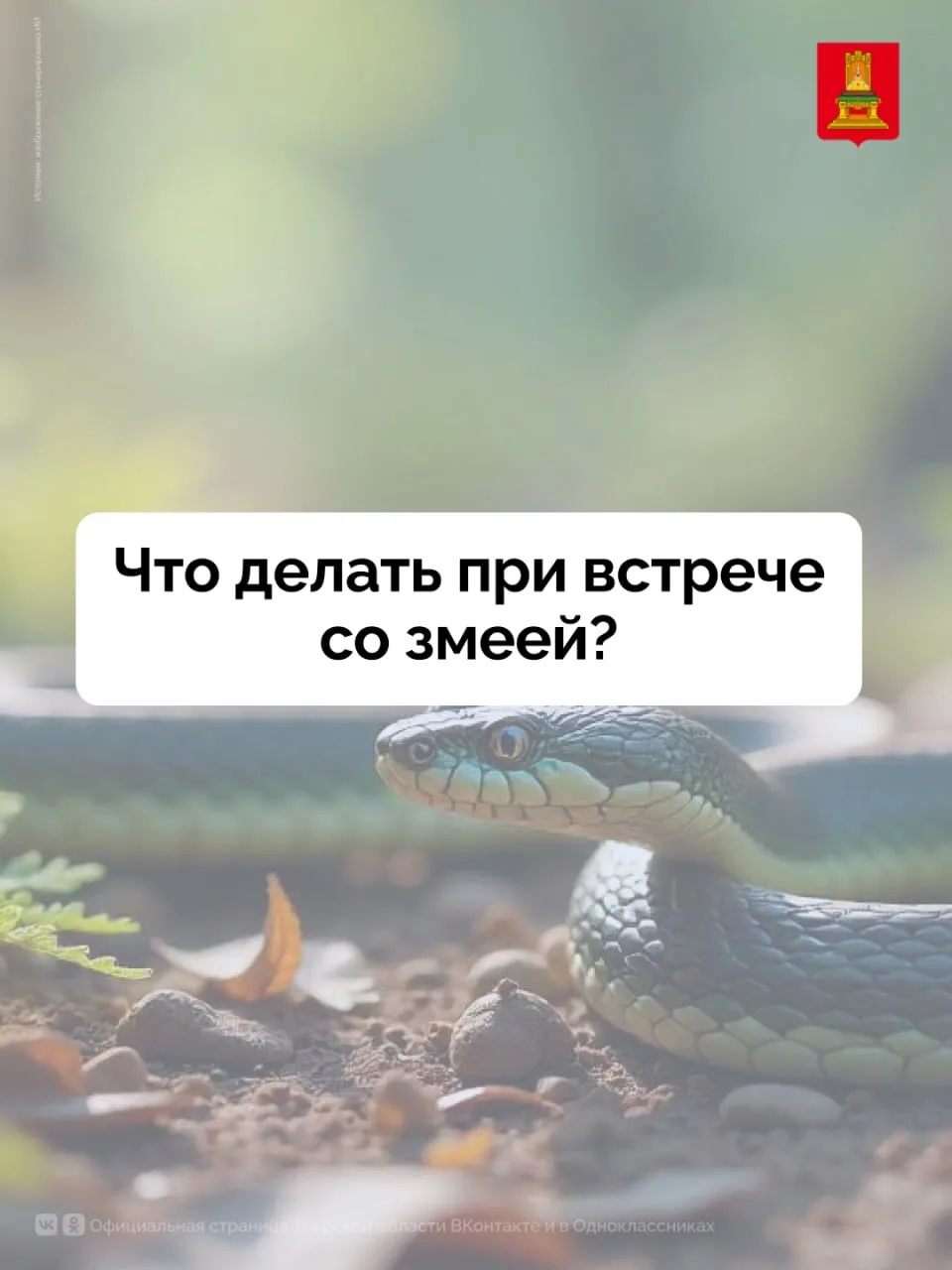 С наступлением тёплой и сухой погоды в летний период увеличивается активность змей. Воз...